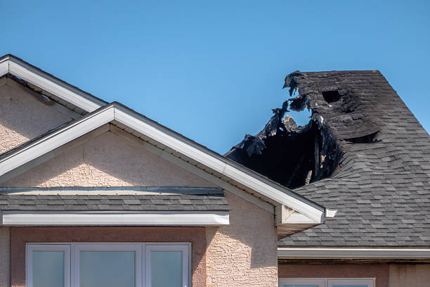 Top rated local Fire Damage Removal specialists in Bridgeport, TX
